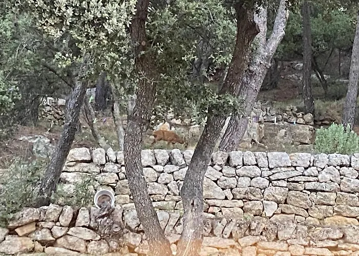 La Studette Provencale